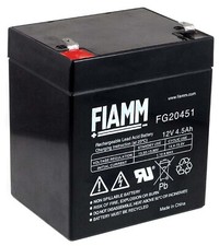 FIAMM Batterie au plomb rechargeable FG20451