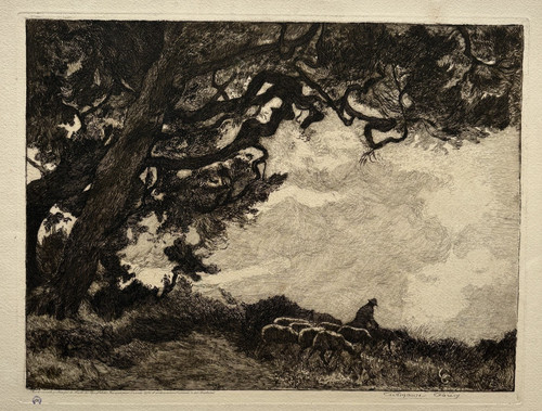 Troupeau brebis gravure eau - gravure,