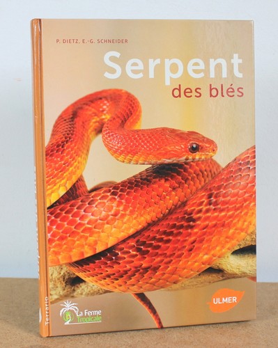 Serpent des blés - , petra