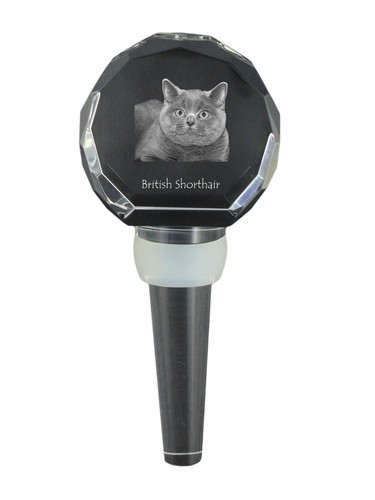 British shorthair bouchon - british,