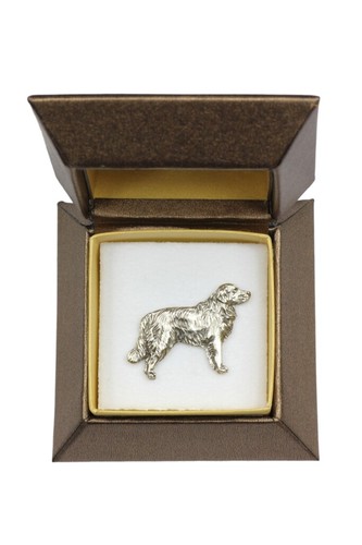 Golden retriever broche de - golden,