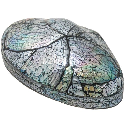 Coffret nacre abalone paua - abalone,