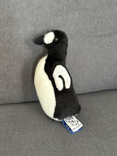 Peluche pingouin grotte - de, la