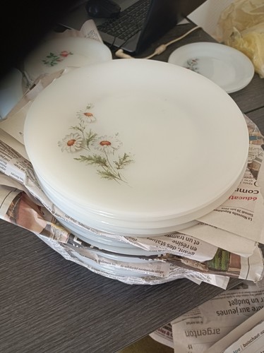 Lot assiettes plates - lot,