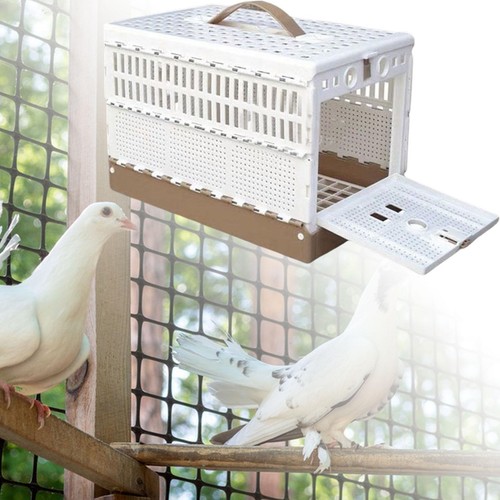 Cage pigeon légère - pigeon,