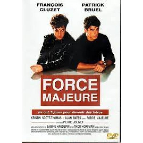 Dvd chat les pigeons - le,