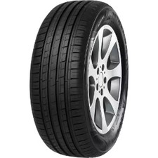 Pneu MINERVA F209 225/55 R16