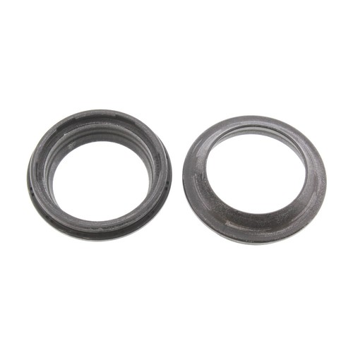 Jmp fork dust - jmp,