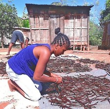 10 Gousses de Vanille Bourbon