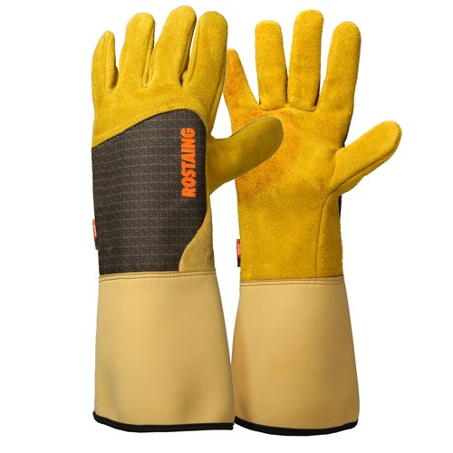 Gants roncier paire de - de,