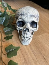 Crâne Squelette 💀