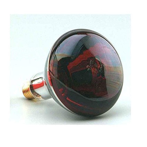 Bright lampe infrarouge - infrarouge, e27