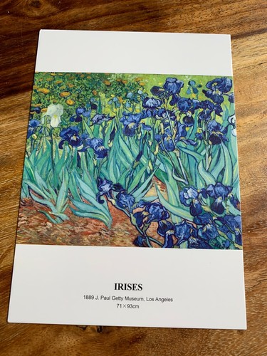 Carte postale 14x10 vincent - 14x10,