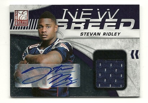 Elite new breed - 11, elite-new