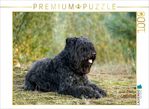 Calvendo puzzle ein motiv - ein,