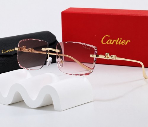 Cartier décor panthère rare - cartier,