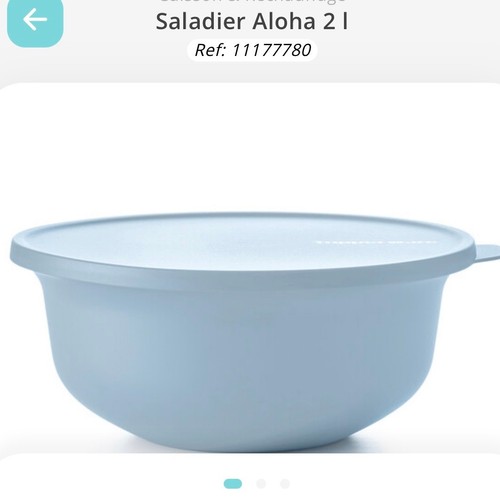 Saladier aloha 2 - saladier, l