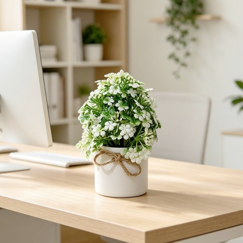 Plante tournesol - plante,