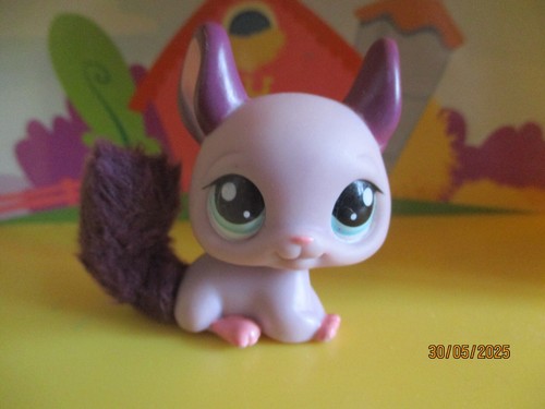 Petshop chinchilla 2415 - petshop,