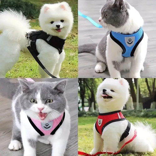 Harnais pour chien chat - pour, ou