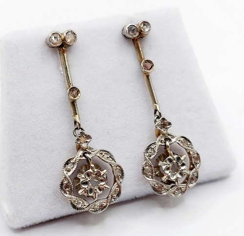 Puces oreilles marguerite - puces, d'oreilles