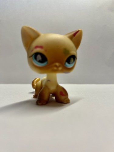Lps little petshop - lps, #816-