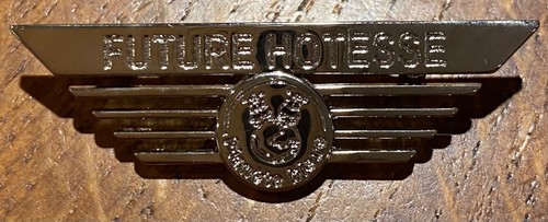 Pin broche aviation future - pin’s,