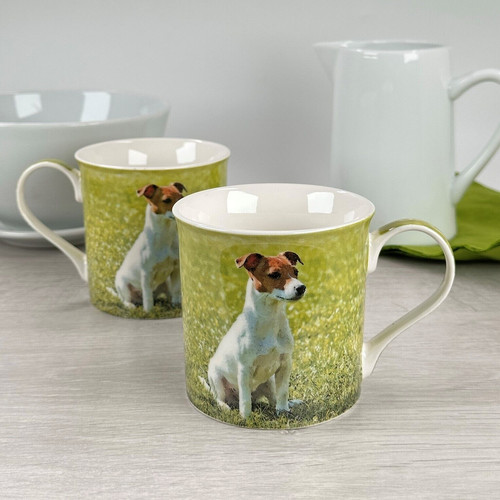 Tasses jack russell set 2 - russell, de