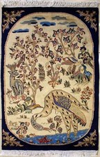 Rugstc 2.5x4 Pak Persian White