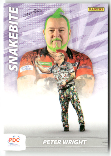 Panini 2024 pdc monde - 2024,