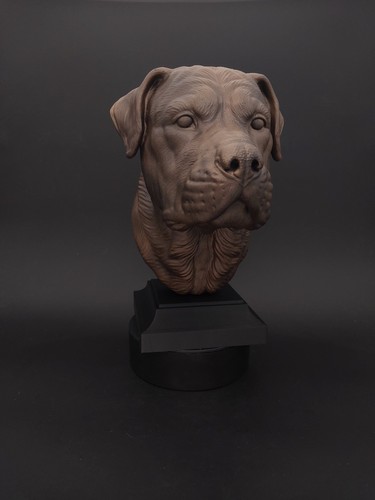 Buste rottweiler statue - -,