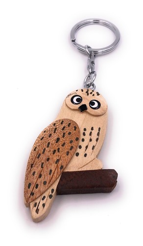 Chouette branche oiseau animal - chouette,