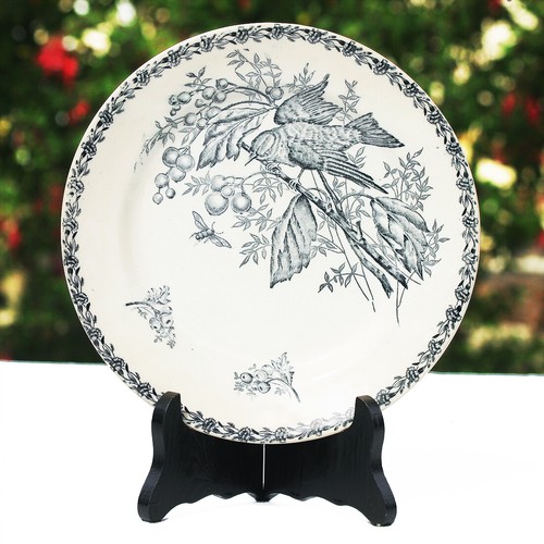 Assiette plate ancienne - , en