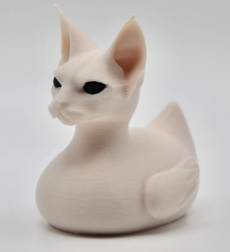 Sphynx cat duck - sphynx, duck,