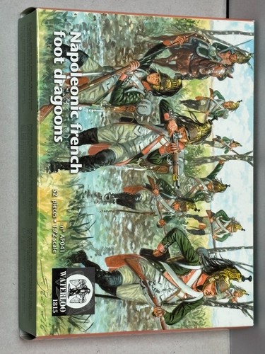 Napoleonic french foot