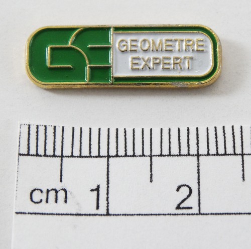 Pin rare vintage collector - vintage,