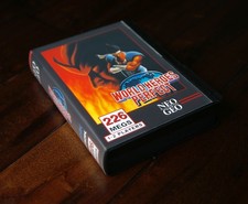 World Heroes Perfect US