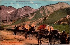 Postcard Les Pyrenees Serie