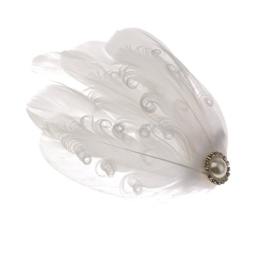 Pince cheveux fascinateur - cheveux,
