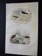 Gravure couleur de