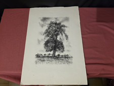 Lithographie ancienne "Le