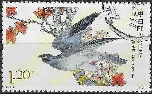 Timbre oiseaux rapaces chine - timbre,