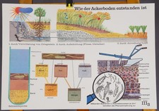 Poster Mural Wall Chart Agriculture How the Soil was Formed Field Meadow