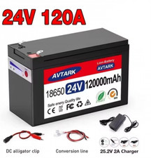 24V LiFePO4 120Ah Electric Vehicle Battery Pack 120Ah Built-in BMS
