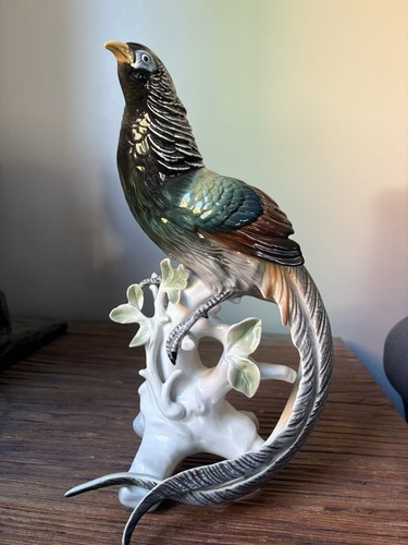 Grand faisan porcelaine de - faisan, en