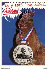 Animals - Birds - Chickens - Rooster - Humor Card - CPM - See Recto-V Scans