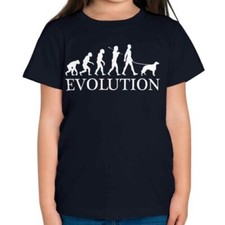 Irlandais Setter Évolution De