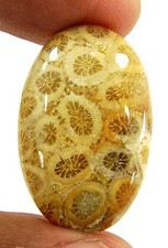 Cabochon En Pierre De Corail