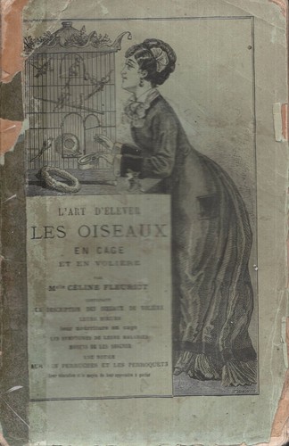 élevage oiseaux cage en - cage, et