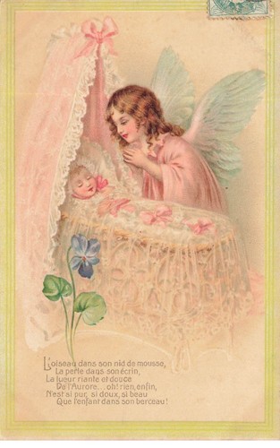 Fantaisie oiseau dans son - l'oiseau,